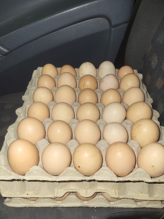 Oua de vanzare 1 leu buc cele crapate / cocnite 0,50 bani