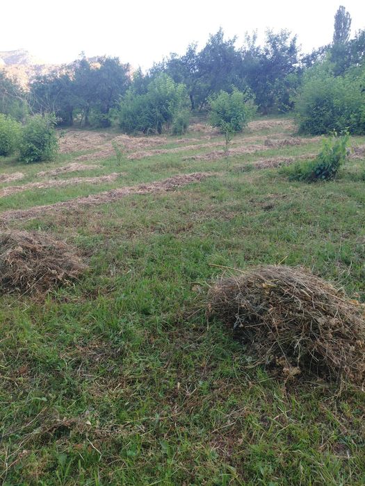Bõstonliq yer sotiladi