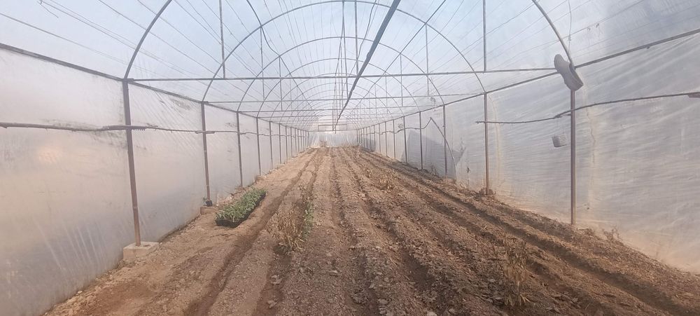 Issiqxona, теплица sotiladi