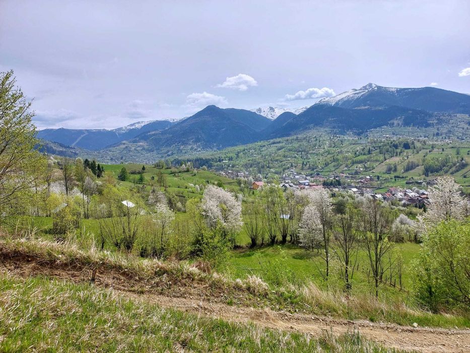 Teren de vanzare in Borsa, strada Malului, 28 ari, intravilan