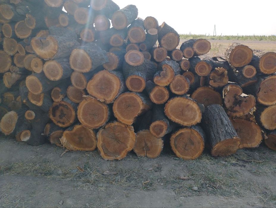 Урик Утин сотилади