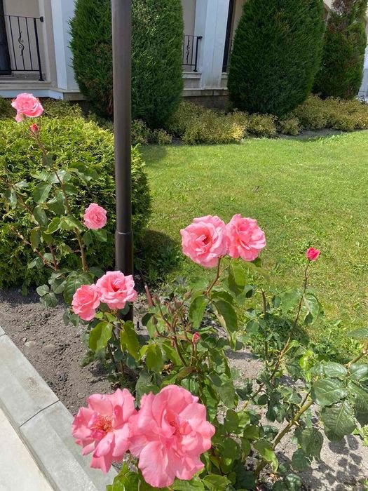 Продава се Едностаен апартамент в Свети Влас - 48 кв.м за 2500 €/кв.м - Снимка #23