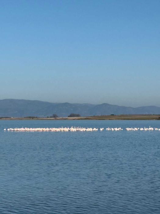 Гърция Фанари апартамент