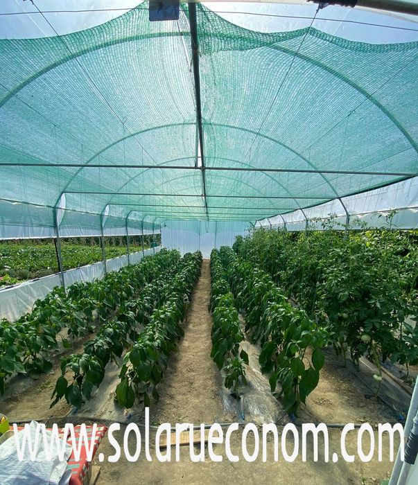 Solar(sera), 1849 lei ( 16 mp), teava neagra