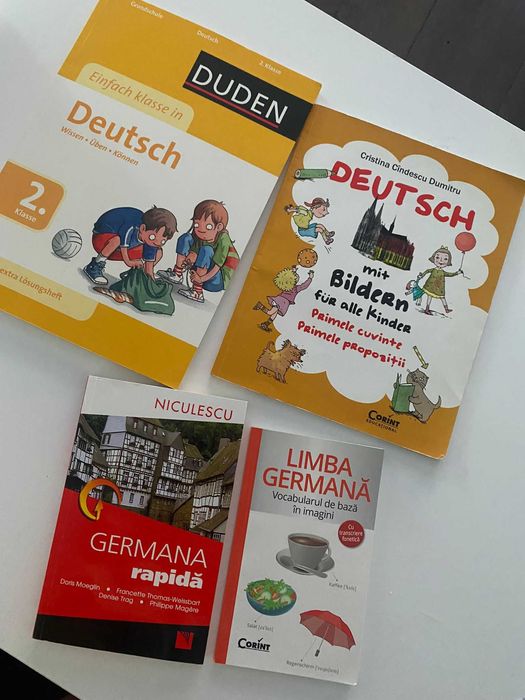 Meditatii Engleza Germana