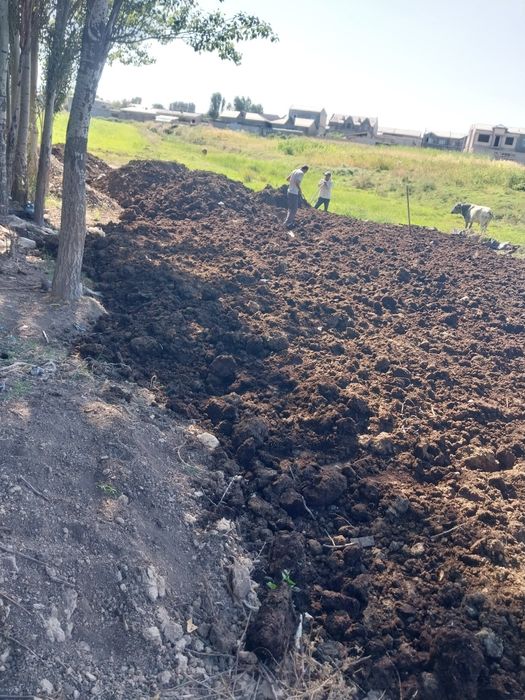 Biogumus optom yillik ogit sifati zor