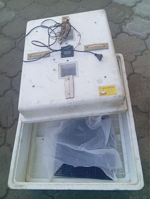 инкубатор для цыплят