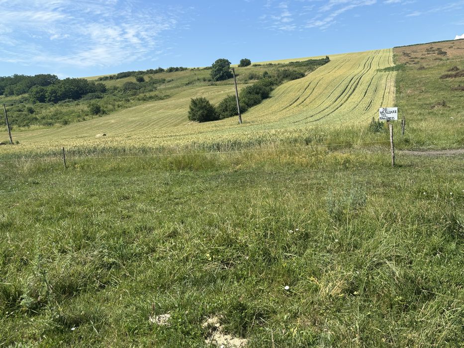 Teren extravilan de vanzare in Turda (Harcana), in suprafa?? de 1,5 hectare,terenul are Titlu de Proprietate
