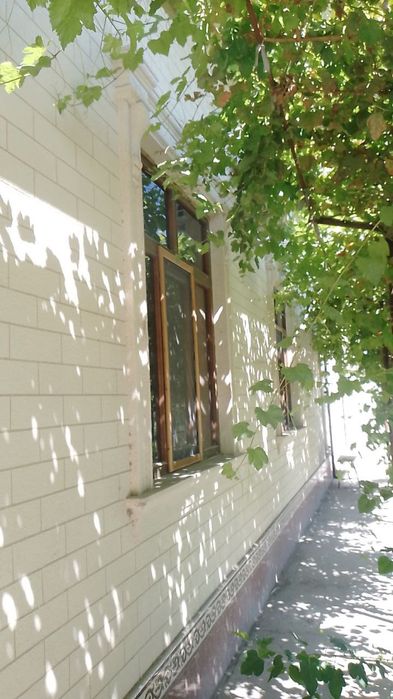 Uy-joy sotiladi 8 soʻtiqli