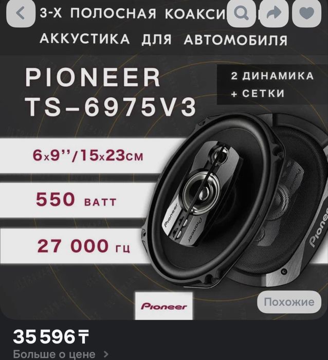 Pioneer TS-6975V3, колонки