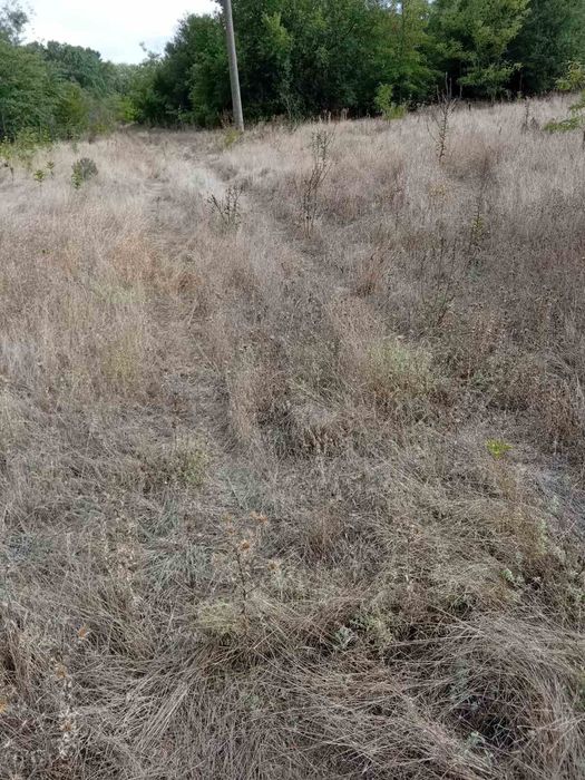 Продавам дворно място 4700 кв. м. на 18 км.  от морето.0