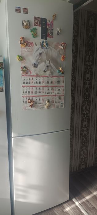 Продам холодильник Haier