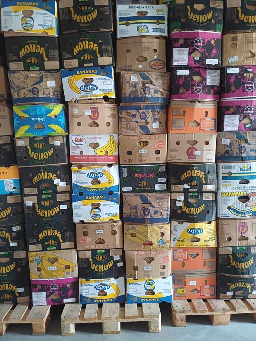 Baxuri banane de vanzare si ladite de plastic