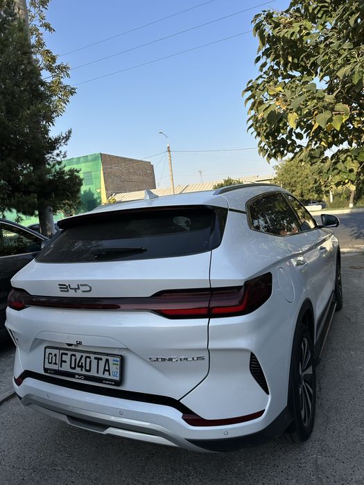 Byd gbrit bez prabeg
