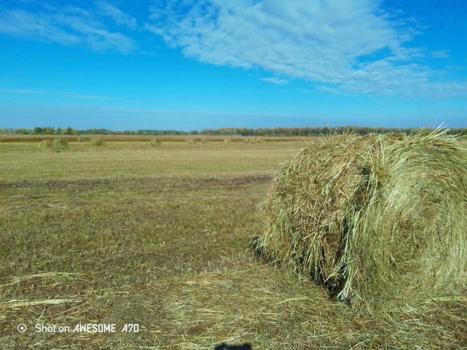 Сено рулон тюк шөп пресс