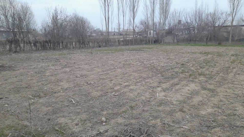 Tashmore yaqinida yer sotiladi