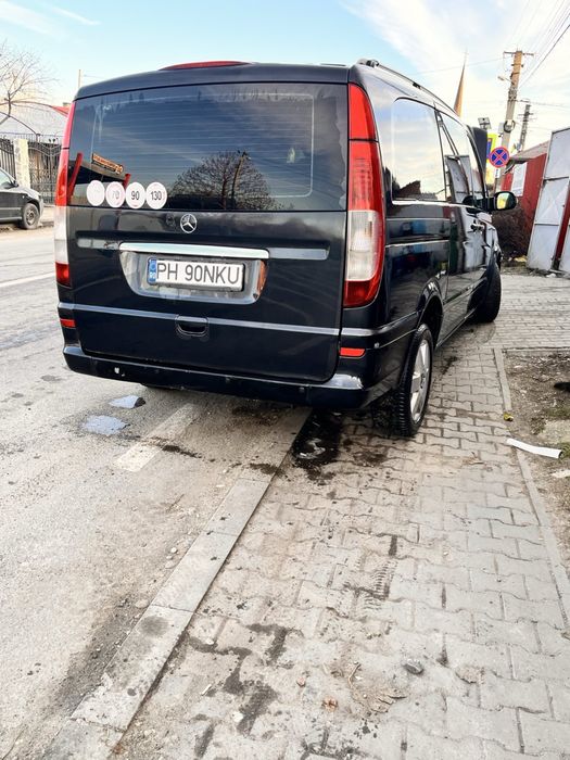 Mercedes Viano  proprietar