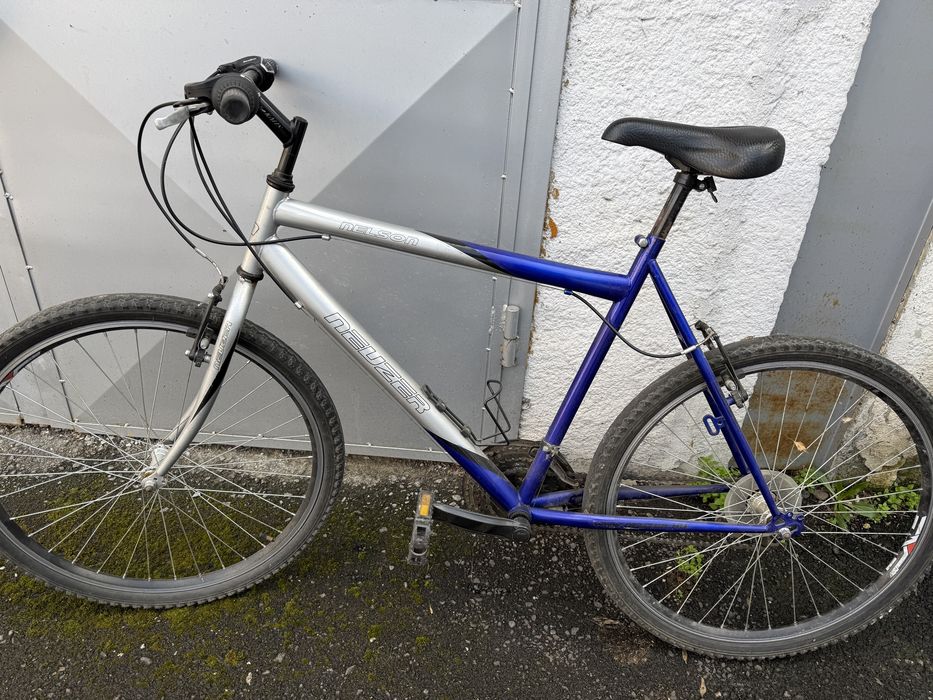 Bicicleta barbati