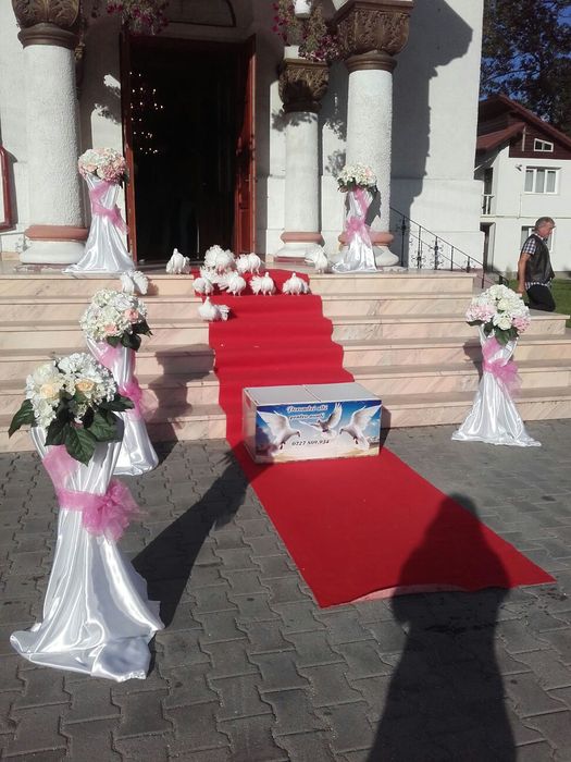 Porumbei albi pentru nuntă