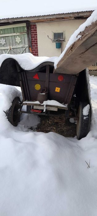 Poneii armăsar cu hamuri și căruță!