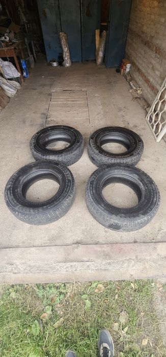 Nokian hakkapelita 7