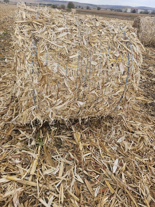 Vand baloti coceni