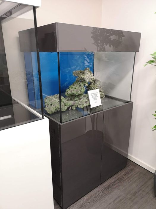 Akvarium yangi yasab beramiz