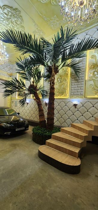 Sunniy PalmaСунний пальма дарахтлари энди муаммо эмас!