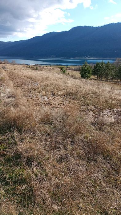 Земеделска земя гр.Сърница Родопите