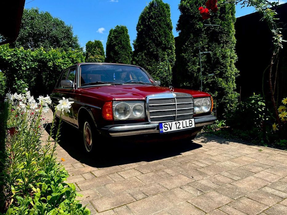 Mercedes W123 240D Cobra