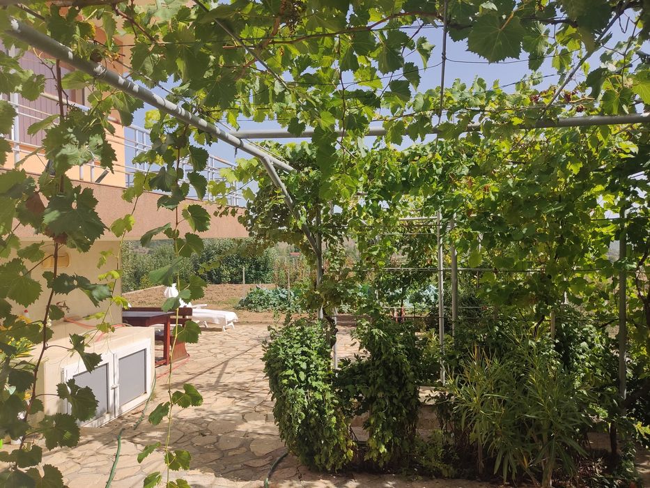 Продава се Къща в с. Логодаж, Област Благоевград - 280 кв.м за 715 €/кв.м - Снимка #19