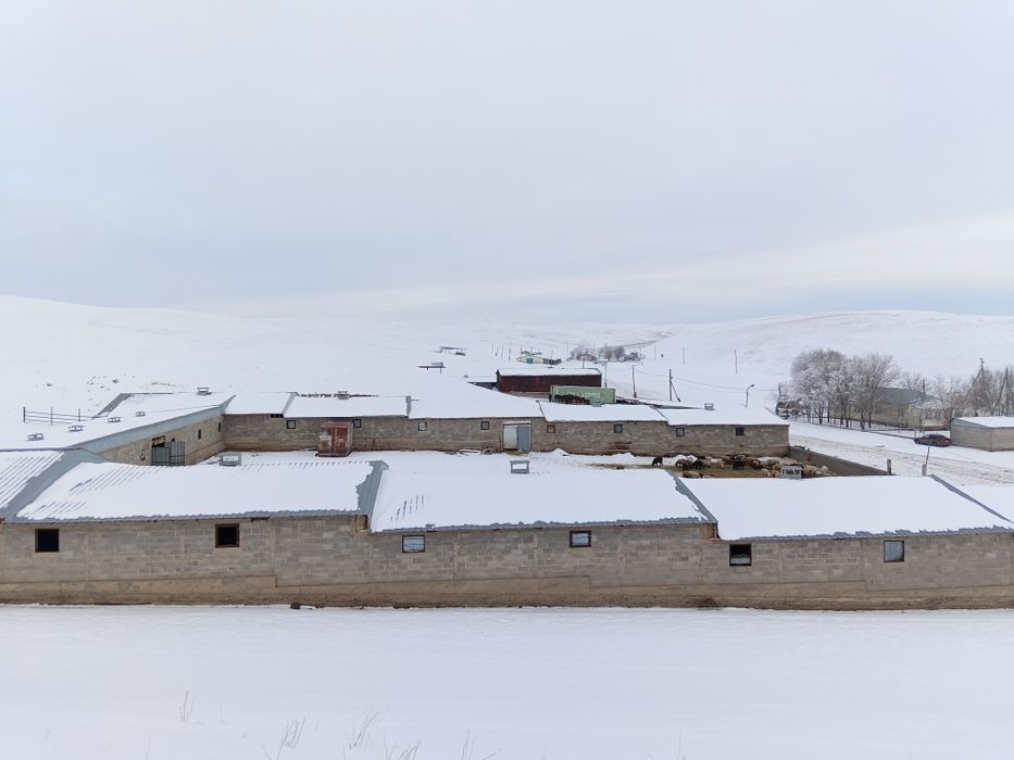 Продам фазенду большую