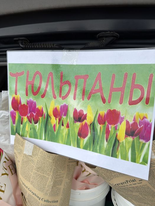 Тюльпаны тюльпаны