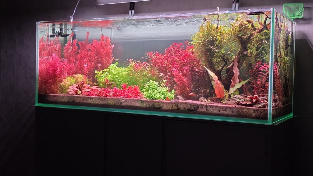 Аквариум продам..