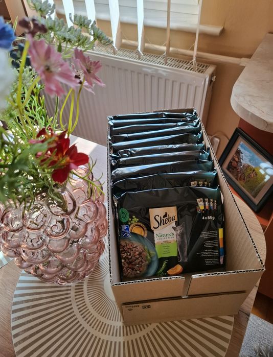 Set SHEBA 10x4 plicuri mâncare umedă