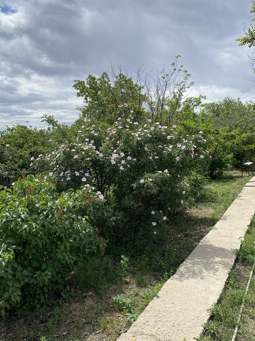 Продам дом в п Акжар 1