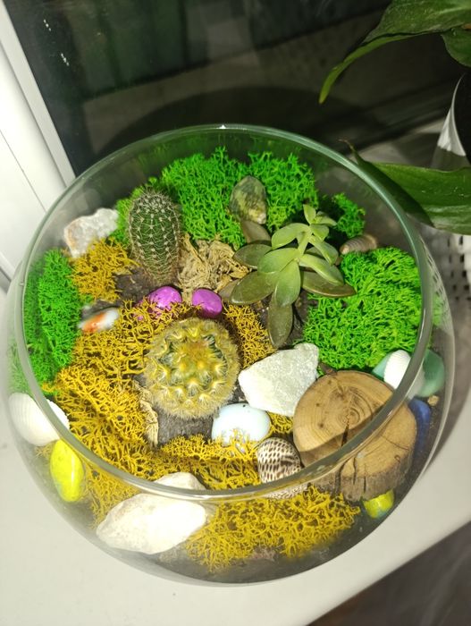 Продам флорариум