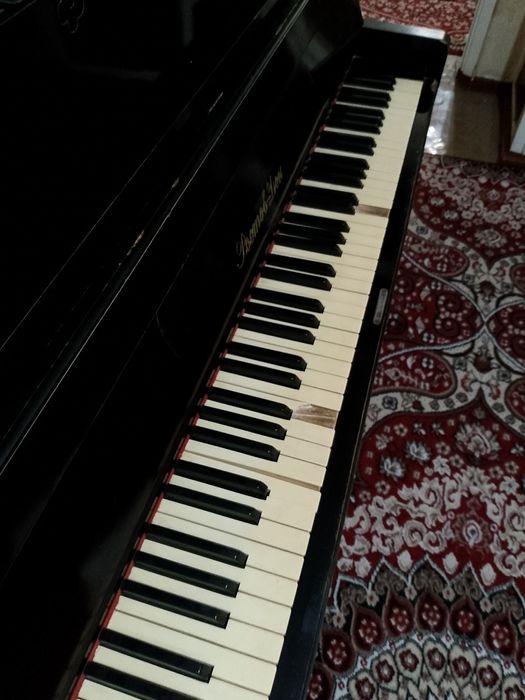 Poanino holati yaxshi srochno sotiladi narx kelishilad