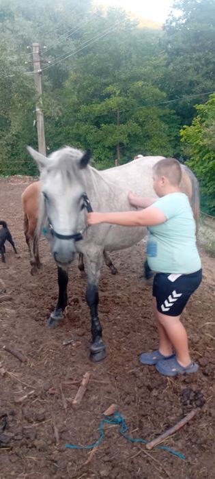 Vând iapă cu mânz