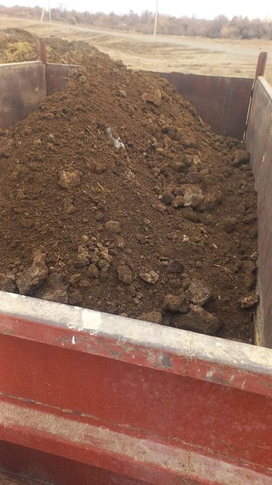 Навоз бар  шириген кон!