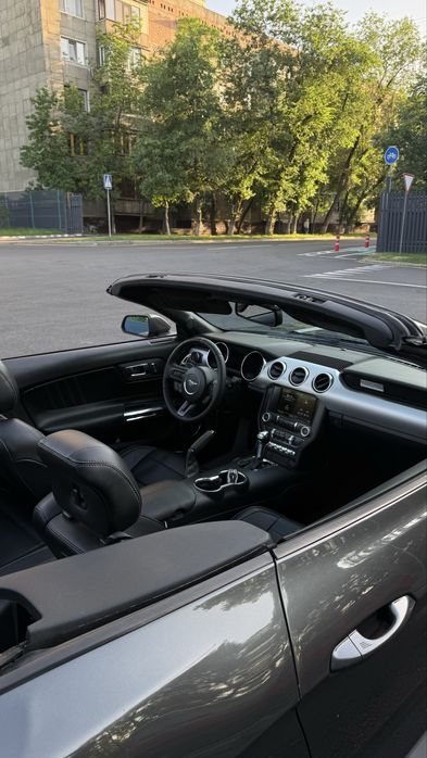Аренда  прокат Ford Mustang