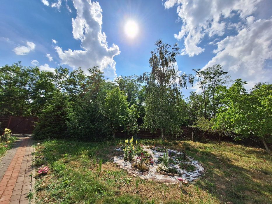 OAZA DE LINISTE SI NATURA! Casuta de Vacanta si Livada in Birnova (1700 mp intravilan - persoana fizica)