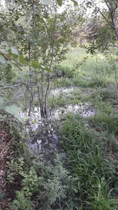 Сабалақ. өте әдемі қунарлы жер.