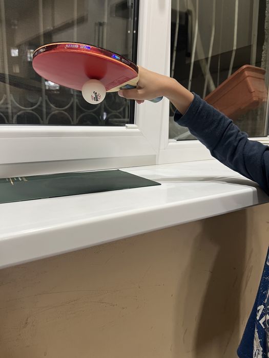 Профессиональная ракетка для настольного тенниса