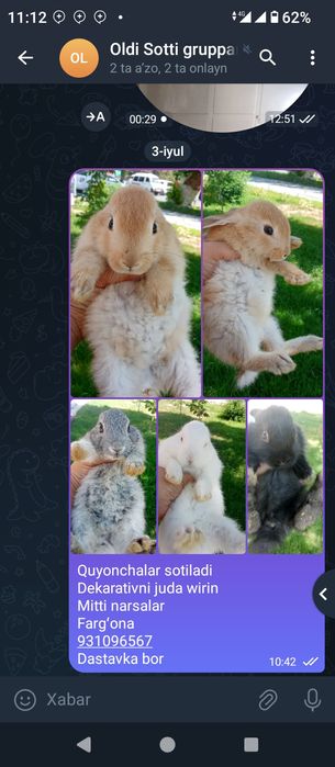 Quyonchalar sotiladi