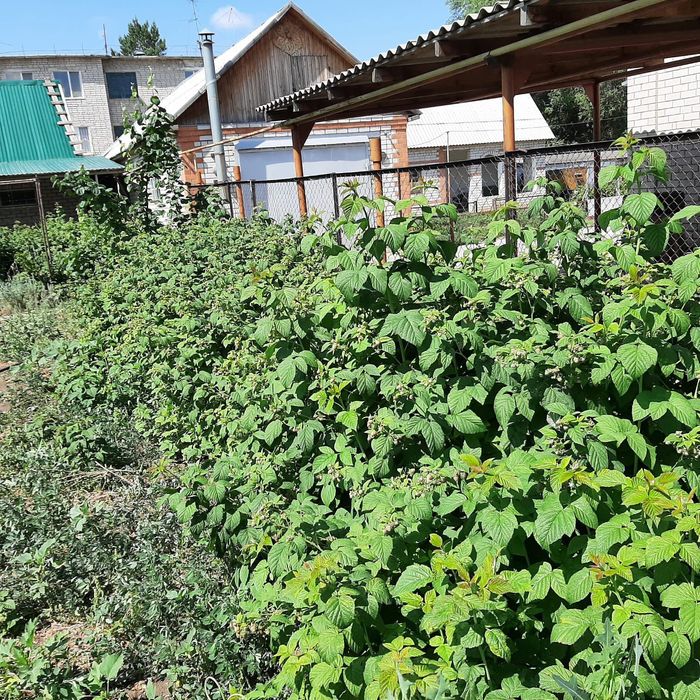 Продам дом недорого