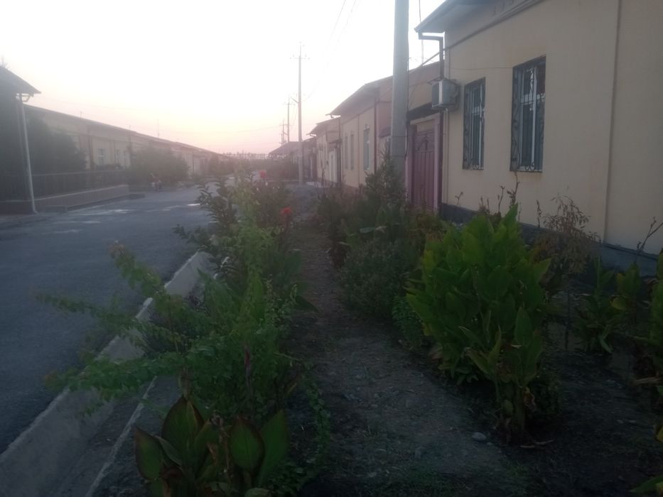 Katej xovli sotiladi 6 sotix