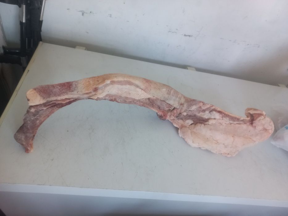 Продам мясо конины