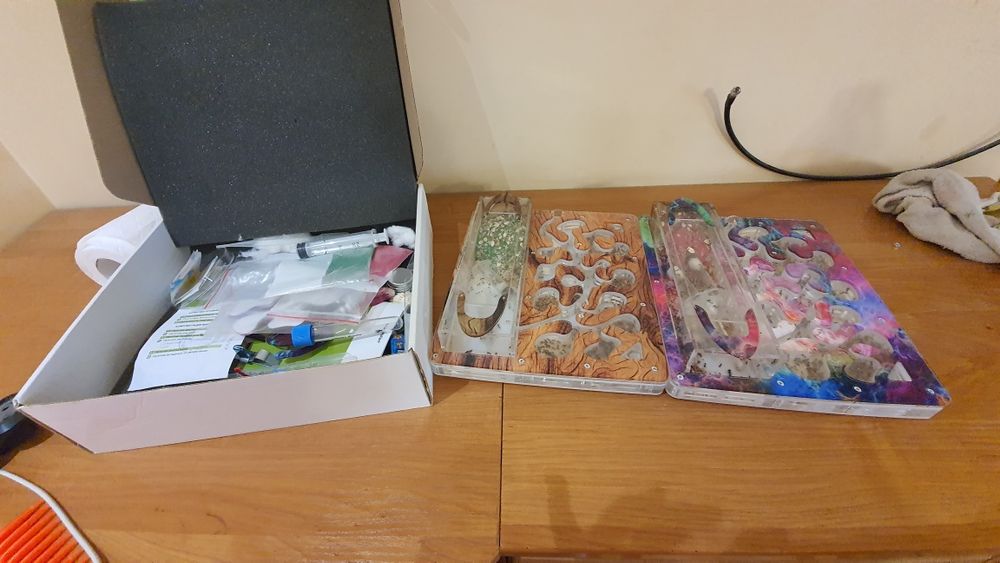 Формикарий от Антпланет без муравьёв.