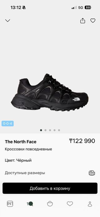 Всесезонная обувь the north face
